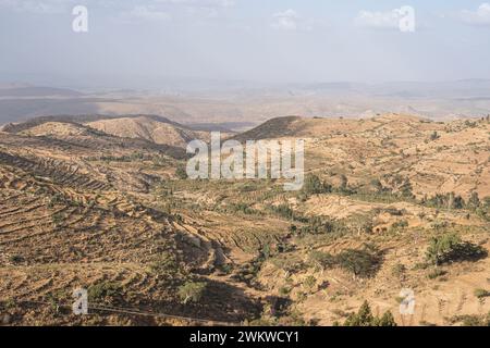 Im Hochland von Abessinien, Dorf in den Semien Mountains, Straßenszene, Äthiopien Stockfoto