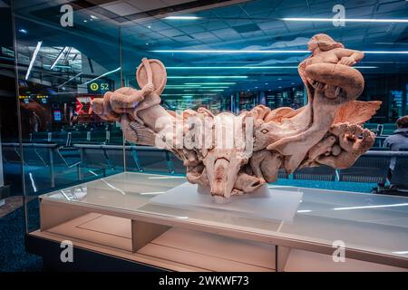 Joe Nasogaluak, Drum Dancer/Sedna Beluga (Detail, Walknochen-Skulptur bei YVR International Departures) Stockfoto