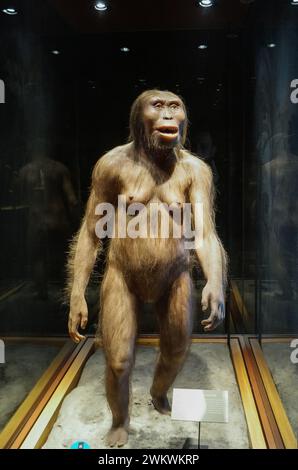 Rekonstruktion von Lucy, der zur Hominininart Australopithecus afarensis gehört, im Nationalmuseum für Anthropologie in Mexiko-Stadt. Stockfoto