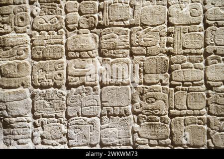 Maya-Skript über Stela 31 aus Tikal im Nationalmuseum für Anthropologie in Mexiko-Stadt, Mexiko. Stockfoto