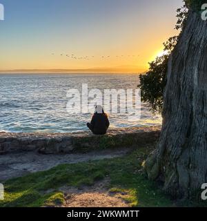 Junge Frau, die auf einer Steinmauer am Lover's Point sitzt, Pacific Grove, Kalifornien bei Sonnenaufgang. Eine Herde von Seevögeln am Horizont Stockfoto