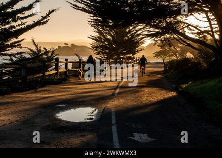 Wanderer und Radfahrer mit ihren Hunden auf dem Erholungsweg von Pacific Grove, Monterey Bay, Kalifornien Stockfoto