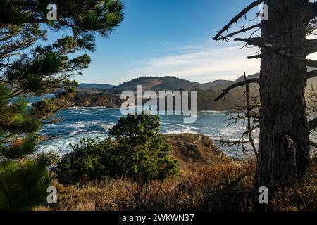 Am frühen Morgen auf der Nordseite von Point Lobos; Carmel, Kalifornien in der Ferne. Stockfoto