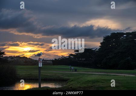 Möwe thront auf dem Schild „No Parking“ bei Sonnenuntergang bei Pacific Grove Golf Links. Stockfoto