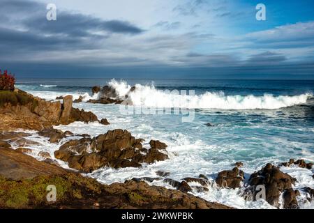 Hohe Surfabstürze gegen die Kissing Rocks entlang der Küste von Pacific Grove. Stockfoto