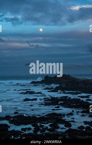 Mondaufgang in Point Pinos; Monterey Bay, Pacific Grove, Kalifornien Stockfoto