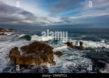 Die hohe Brandung stürzt über Felsen entlang der Küste; Pacific Grove, Kalifornien Stockfoto