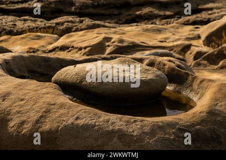 Sandsteinerosion schafft wunderschöne Skulpturen am Weston Beach, Point Lobos State Natural Reserve. Stockfoto