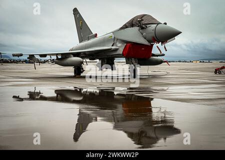 Ein Eurofighter Typhoon FGR4 der Royal Air Force, der der 6 (Fighter) Squadron zugewiesen ist, sitzt auf der Air Reserve Base March, Kalifornien, während der ÜBUNG BAMBUS EAGLE am 24-1. Februar 2024. Bamboo Eagle ist eine Übung, die als Expeditionsflugplatz konzipiert wurde, in der sich alliierte Streitkräfte auf Agile Combat Employment Command and Control, Air Superiority und Joint war at Sea konzentrierten. (Foto der U.S. Air Force von Kekoa Santiago) Stockfoto