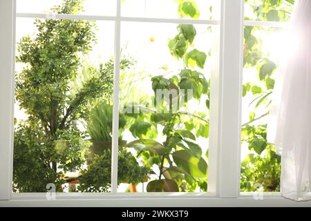 Wunderschöne Aussicht durch das Fenster auf den Garten am Morgen Stockfoto