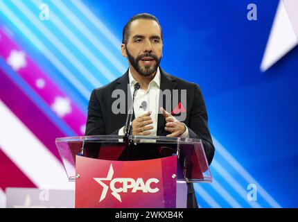 Präsident Nayib Bukele aus El Salvador kommentiert am Donnerstag, den 22. Februar 2024 auf der Konservativen Politischen Aktionskonferenz (CPAC) in National Harbor, Maryland, USA. 2024. Vermerk: Ron Sachs /CNP /MediaPunch Stockfoto