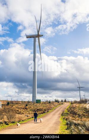 Windpark Whitelee, Eaglesham Moor in der Nähe von Glasgow, Schottland, Großbritannien. Whitelee ist mit 215 Turbinen mit einer Leistung von 539 mw der größte Windpark an Land im Vereinigten Königreich Stockfoto