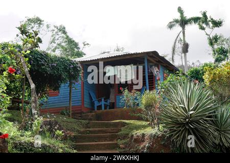 Palmen, Vegetation, Alexander von Humboldt Nationalpark, Kuba, Karibik, Mittelamerika Stockfoto