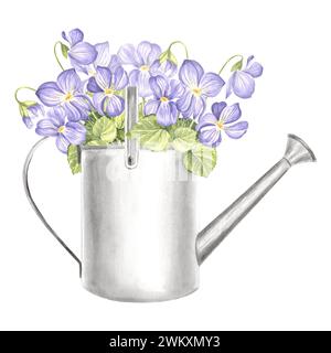 Violett mit Blättern in Gießkanne Metall, Aquarellillustration von Gartenbedarf. Isolierte handgezeichnete Wildblumen, Stiefmütterchen, Viola, Blumenstrauß. Vorlage Stockfoto