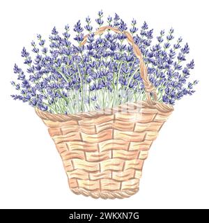 Lavendelblumen bündeln lila in Vintage-Korb, Aquarellillustration. Isolierter handgezeichneter provenzalischer Blumenstrauß. Botanische Zeichenvorlage Stockfoto