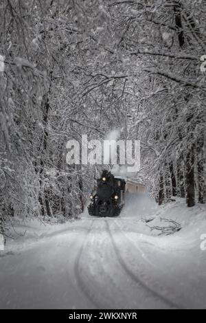 Budapest, Ungarn - schöne Winterwaldszene mit schneit, verschneiten Wäldern und alter nostalgischer Panzermaschine (Kinderzug) auf der Strecke in der Buda Stockfoto