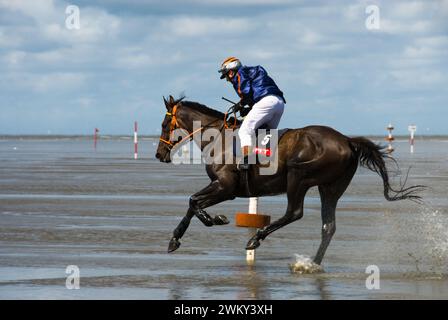 Einzigartiges Pferderennen in Duhnen, Deutschland, an der Nordseeküste Stockfoto