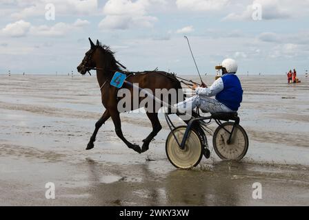 Einzigartiges Pferderennen in Duhnen, Deutschland, an der Nordseeküste Stockfoto