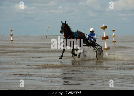 Einzigartiges Pferderennen in Duhnen, Deutschland, an der Nordseeküste Stockfoto