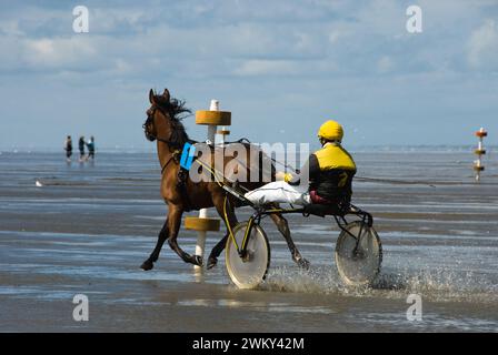 Einzigartiges Pferderennen in Duhnen, Deutschland, an der Nordseeküste Stockfoto