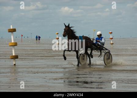 Einzigartiges Pferderennen in Duhnen, Deutschland, an der Nordseeküste Stockfoto