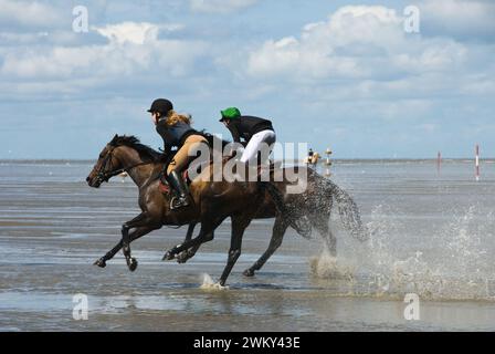 Einzigartiges Pferderennen in Duhnen, Deutschland, an der Nordseeküste Stockfoto