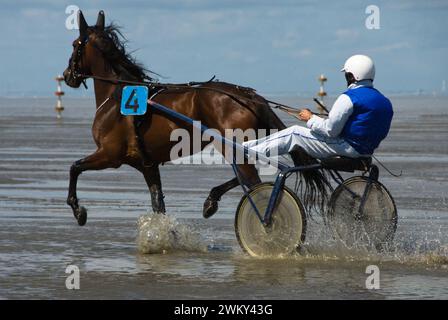 Einzigartiges Pferderennen in Duhnen, Deutschland, an der Nordseeküste Stockfoto