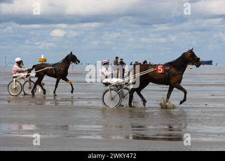 Einzigartiges Pferderennen in Duhnen, Deutschland, an der Nordseeküste Stockfoto