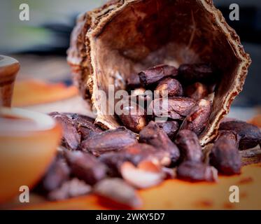 Handgemachte Schokolade und Kakaobohnen auf dem Waddesdon Manor Artisan Market. Stockfoto