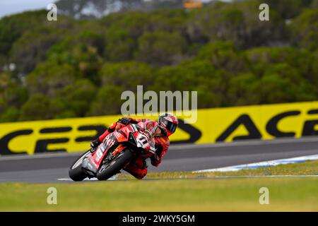 MELBOURNE, AUSTRALIEN. 23. Februar 2024. Nicolo Bulega (11) aus Italien fuhr mit dem Ducati Panigale V4R für Aruba.IT Racing - Ducati bei der Eröffnungsrunde der Superbike-Weltmeisterschaft 2024 auf dem Phillip Island Circuit. Karl Phillipson/Alamy Live News Stockfoto