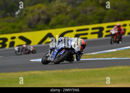 MELBOURNE, AUSTRALIEN. 23. Februar 2024. Philipp Oettl (5) aus Deutschland fuhr die Yamaha YZF R1 für GMT94 Yamaha bei der Eröffnungsrunde der Superbike-Weltmeisterschaft 2024 auf dem Phillip Island Circuit. Karl Phillipson/Alamy Live News Stockfoto