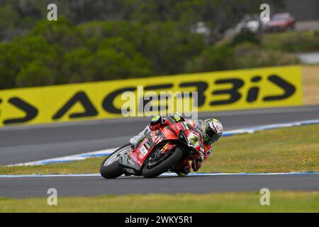 MELBOURNE, AUSTRALIEN. 23. Februar 2024. Alvaro Bautista (1) aus Spanien fuhr mit dem Ducati Panigale V4R für Aruba.IT Racing - Ducati bei der Eröffnungsrunde der Superbike-Weltmeisterschaft 2024 auf dem Phillip Island Circuit. Karl Phillipson/Alamy Live News Stockfoto