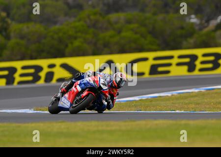 MELBOURNE, AUSTRALIEN. 23. Februar 2024. Iker Lecuona (7) aus Spanien fuhr mit der Honda CBR1000 RR-R für Team HRC bei der Eröffnungsrunde der Superbike-Weltmeisterschaft 2024 auf dem Phillip Island Circuit. Karl Phillipson/Alamy Live News Stockfoto