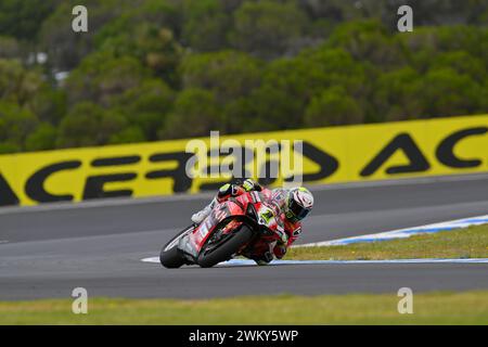 MELBOURNE, AUSTRALIEN. 23. Februar 2024. Alvaro Bautista (1) aus Spanien fuhr mit dem Ducati Panigale V4R für Aruba.IT Racing - Ducati bei der Eröffnungsrunde der Superbike-Weltmeisterschaft 2024 auf dem Phillip Island Circuit. Karl Phillipson/Alamy Live News Stockfoto