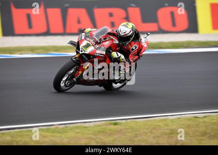 MELBOURNE, AUSTRALIEN. 23. Februar 2024. Alvaro Bautista (1) aus Spanien fuhr mit dem Ducati Panigale V4R für Aruba.IT Racing - Ducati bei der Eröffnungsrunde der Superbike-Weltmeisterschaft 2024 auf dem Phillip Island Circuit. Karl Phillipson/Alamy Live News Stockfoto