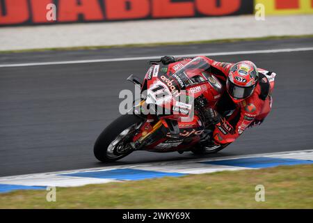 MELBOURNE, AUSTRALIEN. 23. Februar 2024. Nicolo Bulega (11) aus Italien fuhr mit dem Ducati Panigale V4R für Aruba.IT Racing - Ducati bei der Eröffnungsrunde der Superbike-Weltmeisterschaft 2024 auf dem Phillip Island Circuit. Karl Phillipson/Alamy Live News Stockfoto