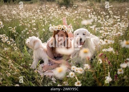 Weibliche Hunde Wiesen-Kamille. Die Frau umarmt ihre pelzigen Freunde auf einem ruhigen Kamillenfeld, umgeben von üppigem Grün. Ein herzerwärmendes Liebesbeweis Stockfoto