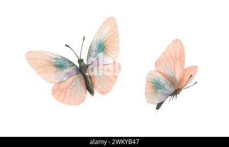 Zarte, leicht fliegende Schmetterlinge von oben und von der Seite in pfirsichfarbener Fuzz-Farbe mit Türkis. Handgezeichnete Aquarellillustration. Satz von Stockfoto