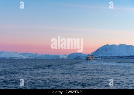 Europa, Norwegen, Tromso, Troms County, Walbeobachtungsboot, das im Winter an der Küste nahe der Halbinsel Lyngen vorbeifährt Stockfoto