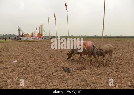 Duy Tien, Ha Nam, Vietnam. Tich Dien ist der Auftakt der landwirtschaftlichen Saison. Aufführungsrituale beim Tich Dien Festival. Lễ hội Tịch Điền Stockfoto