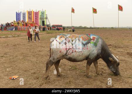 Duy Tien, Ha Nam, Vietnam. Tich Dien ist der Auftakt der landwirtschaftlichen Saison. Aufführungsrituale beim Tich Dien Festival. Lễ hội Tịch Điền Stockfoto