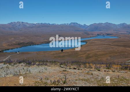 Mt. John bietet eine außergewöhnliche Aussichtsplattform mit einem 360-Grad-Panorama, das die majestätischen Berge, ruhigen Seen und weitläufigen Ebenen zeigt Stockfoto