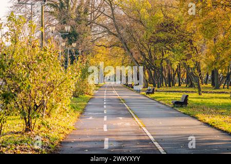 Die lebhafte Farbpalette des Herbstes zeigt eine idyllische Parkszene, in der leere Radwege durch einen goldenen Wald schlängeln, der im Oktober in die Sonne getaucht ist. Stockfoto