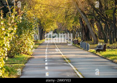 Die lebhafte Farbpalette des Herbstes zeigt eine idyllische Parkszene, in der leere Radwege durch einen goldenen Wald schlängeln, der im Oktober in die Sonne getaucht ist. Stockfoto