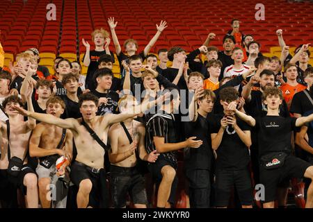 Brisbane, Australien. Februar 2024. Die Reaktionen der Fans nach dem Isuzu Ute-Spiel zwischen Brisbane Roar und Western United FC im Suncorp Stadium in Brisbane, Australien. Quelle: Matthew Starling / Alamy Live News Stockfoto