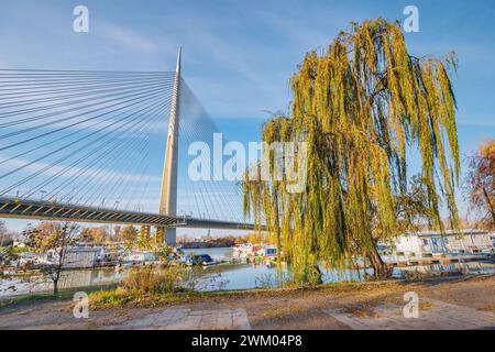 In Belgrad, Serbien, überspannt die ikonische Metallbrücke das Wasser, ein Beweis für technische Brillanz und bietet Pendlern einen Panoramablick auf die Stadt Stockfoto