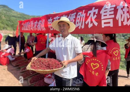 Peking, China. Februar 2024. Wang Xiehong hilft den Einheimischen beim Verkauf von Pfeffer durch Livestreams im Dorf Luanshishan, Stadt Longnan in der nordwestlichen chinesischen Provinz Gansu, 22. Juli 2023. Quelle: Xinhua/Alamy Live News Stockfoto