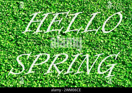 Die Worte Hallo entspringen auf dem Hintergrund des grünen Blattmusters. Frühlingsgrußkarte. Das Konzept des Frühlingsbeginns. Stockfoto