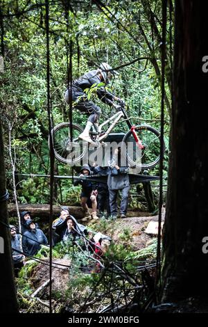 Maydena, Tasmanien, Australien. Februar 2024. MAYDENA, AUSTRALIEN - 23. FEBRUAR: Fahrer während des Aussaatens in Red Bull Hardline Tasmania am 23. Februar 2024 in Maydena, Australien. (Kreditbild: © Chris Putnam/ZUMA Press Wire) NUR REDAKTIONELLE VERWENDUNG! Nicht für kommerzielle ZWECKE! Stockfoto