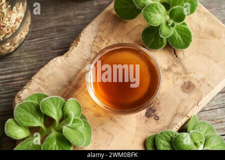 Eine Schüssel mit selbstgemachtem Plectranthus Amboinicus Sirup für Erkältung von oben Stockfoto